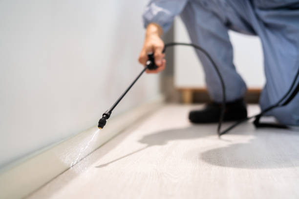 Licensed Termite Control service in Newark, TX - Show Me Pest Control